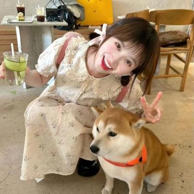细骨小屋 海报